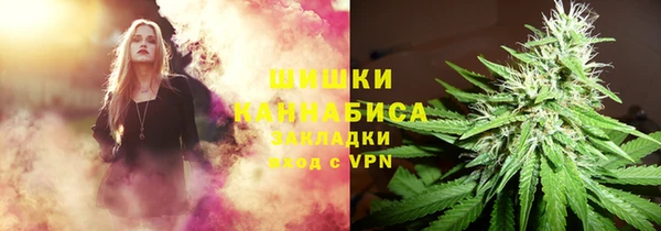 шишки Алексин