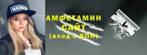 шишки Алексин