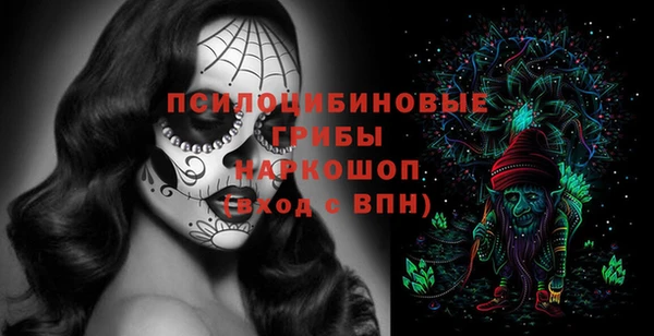 круглые Алзамай