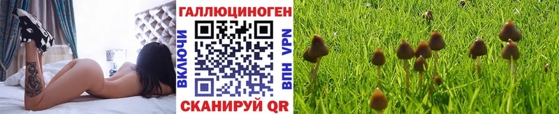 где купить наркоту  Приморск  Галлюциногенные грибы ЛСД 