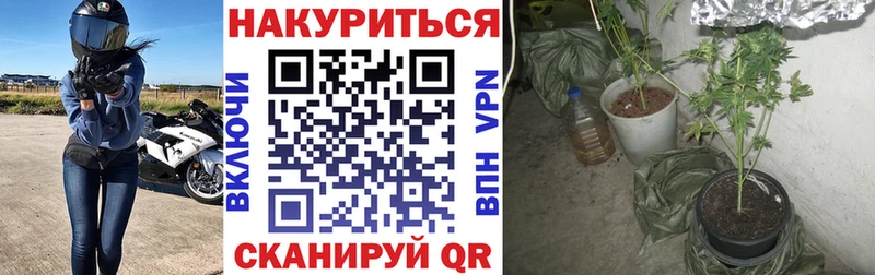 Каннабис конопля Приморск